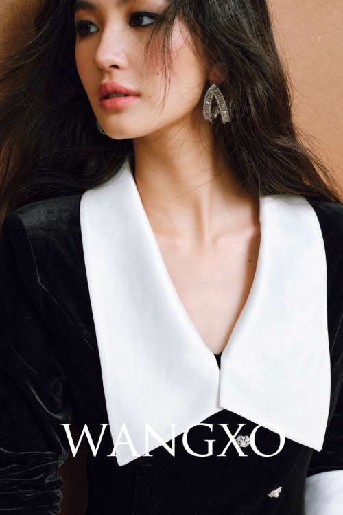 Big Collar Glossy Split Dress