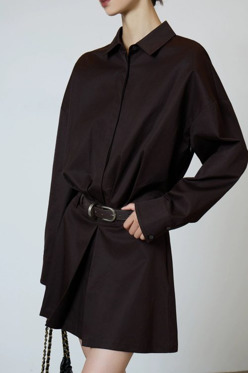 Brown Shirt Dress