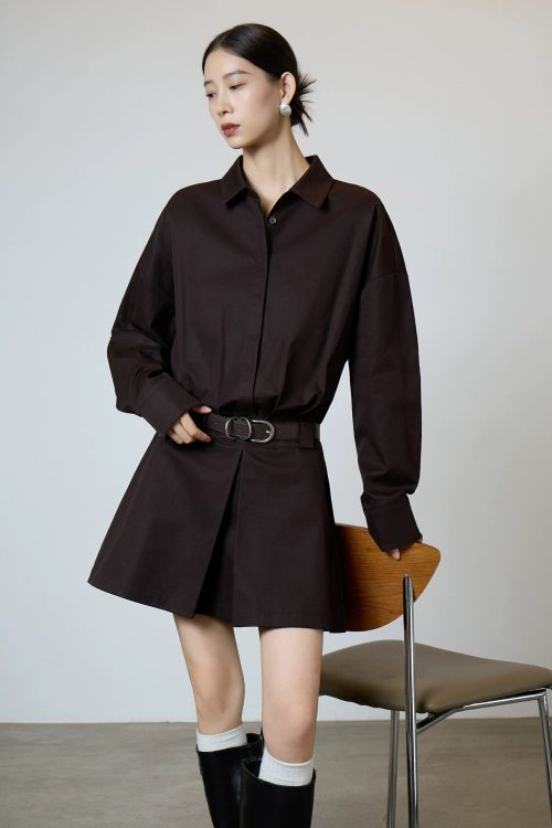 Brown Shirt Dress