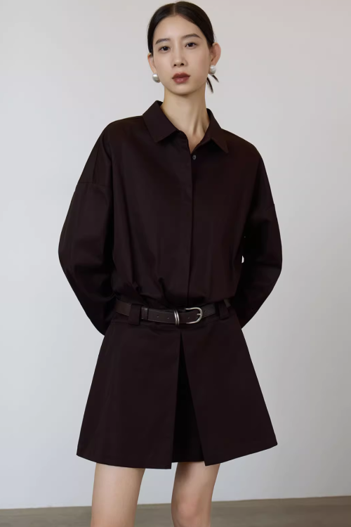 Brown Shirt Dress
