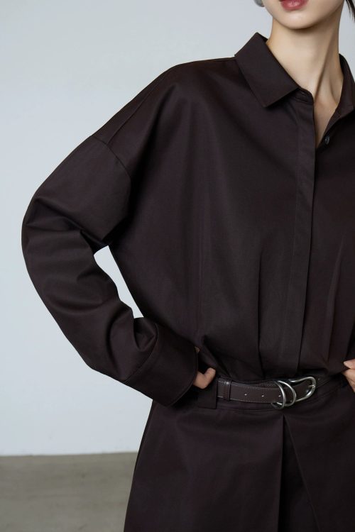 Brown Shirt Dress