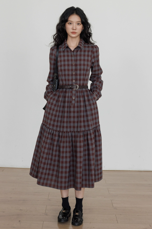 Classic Paid Long Dress