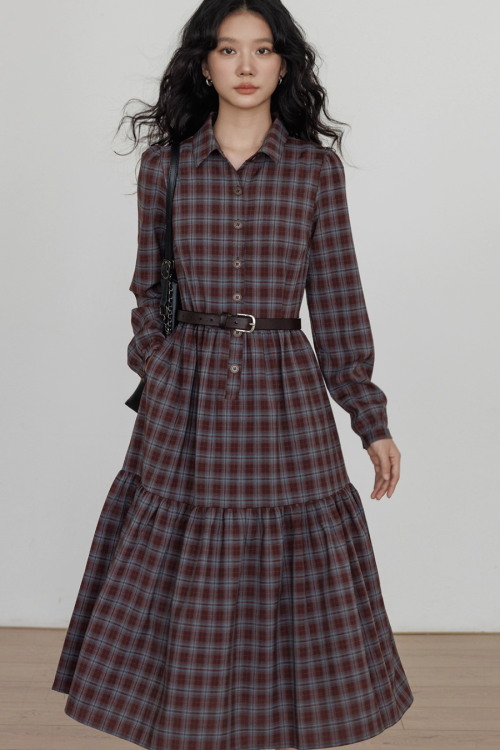 Classic Paid Long Dress