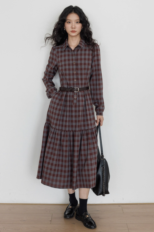 Classic Paid Long Dress