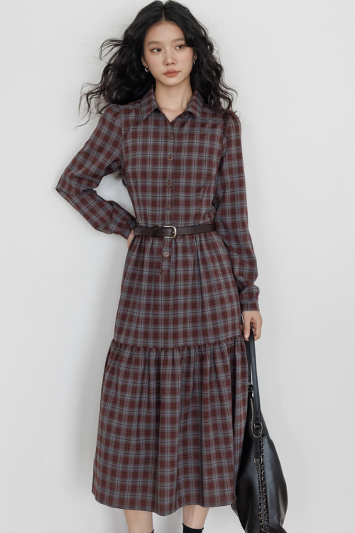 Classic Paid Long Dress