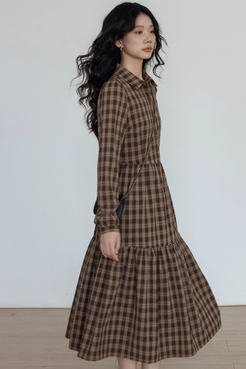 Classic Paid Long Dress