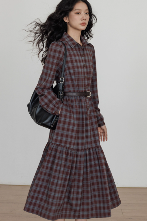 Classic Paid Long Dress