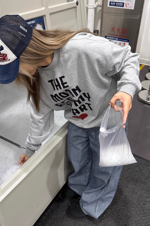 College Logo Sweat Top