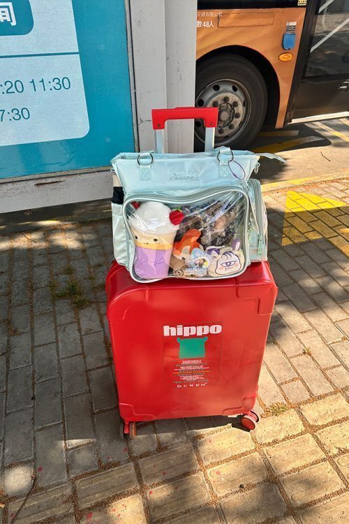 Convertible Ita Bag for Pin Display