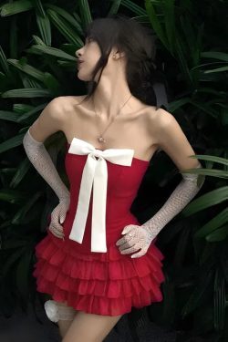 Coquette Corset Top & Mini Skirt Two Piece Set