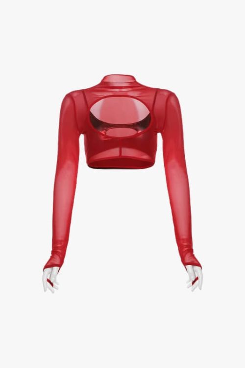 Cut-Out Sheer Mesh Crop Top