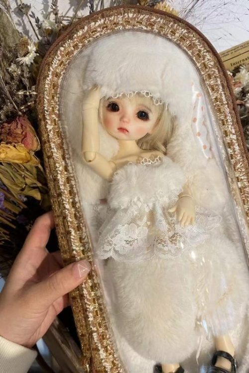 Doll Carry Bag with Clear Window for Plushies and Pins