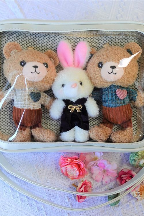 Gold Ita Crossbody Bag with Clear Window and Included Insert for Pin Display