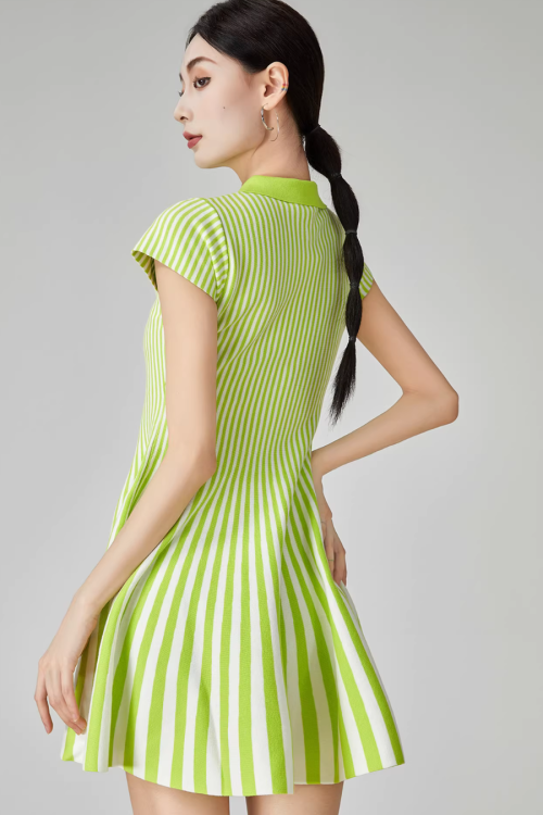 Green Striped Flare Mini Dress
