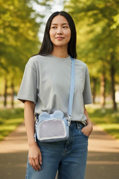 Kawaii Convertible Ita Bag with Clear Window for Pin Display