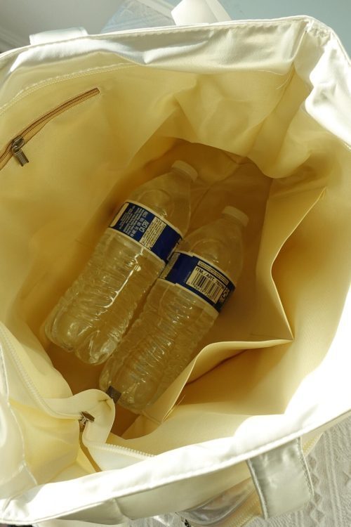 Kawaii Ita Shoulder Bag with Clear Window for Pin Display