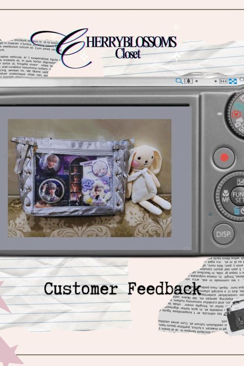 Kawaii Ita Shoulder Bag with Clear Window for Plushies and Pins