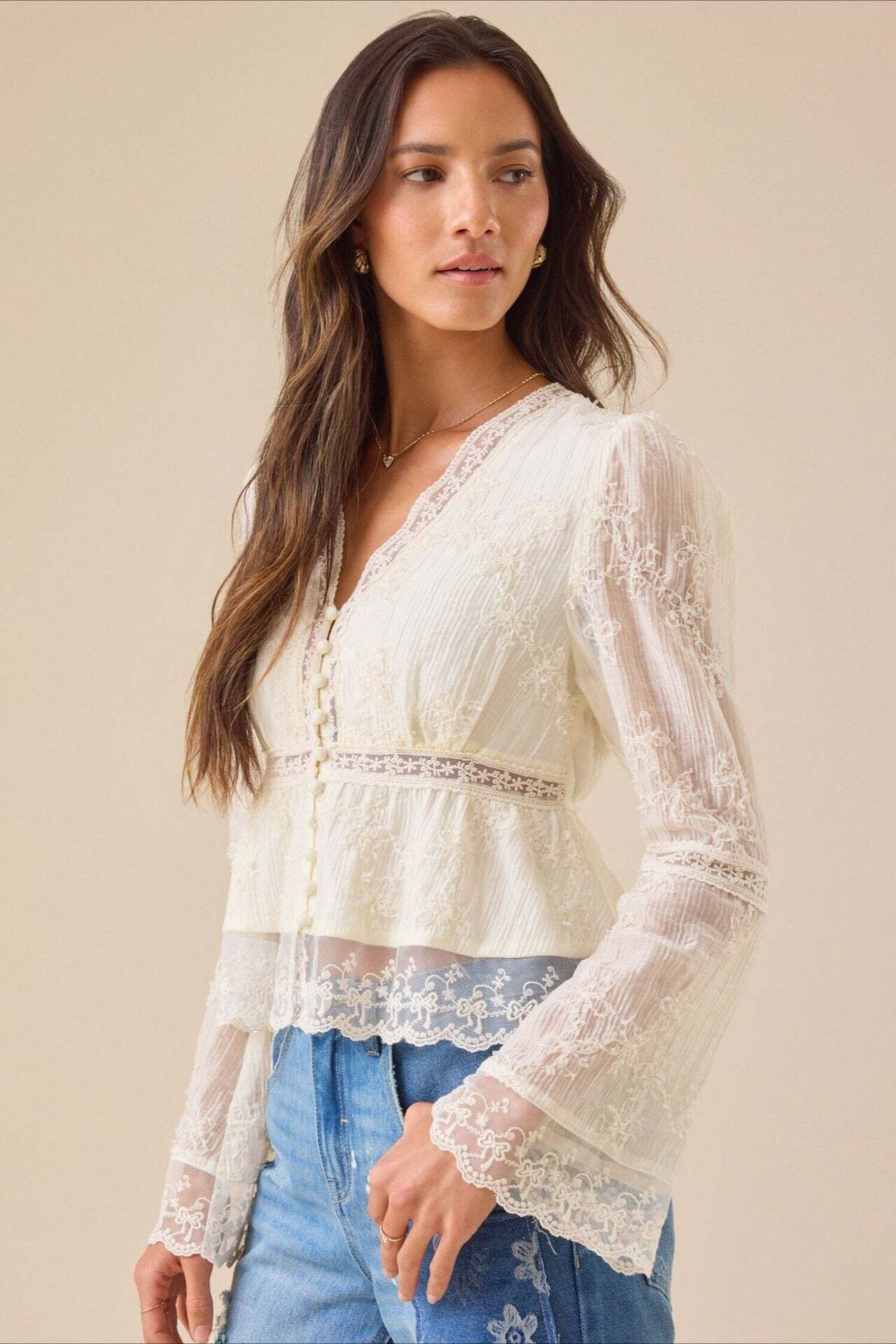 Lace Casual Hollow Out Long Sleeve Blouse