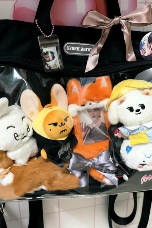 Large Black Convertible Ita Bag with Clear Window for Plushies and Pins