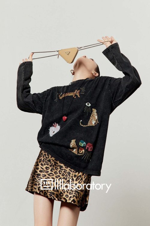 Leopard Print Long Sleeve / Leopard Print Mini Skirt