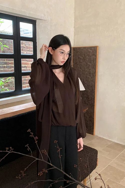 Neck Tie Sheer Mesh Blouse