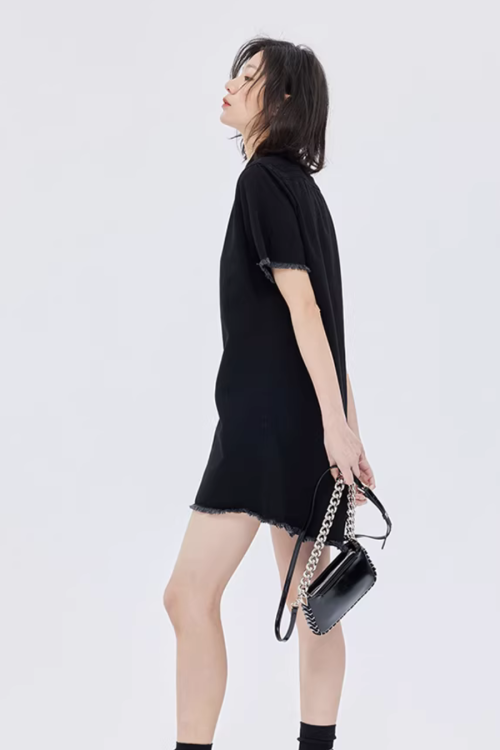 Polo Collar Embroidered Shirt Dress