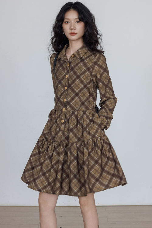 Retro Paid Flare Dress