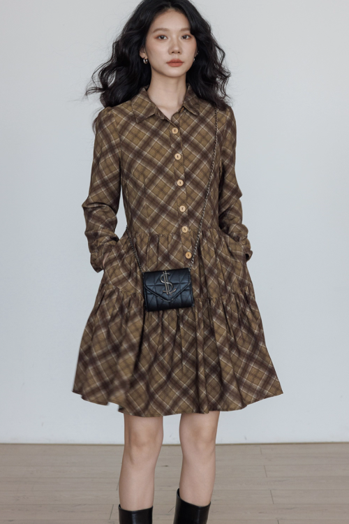 Retro Paid Flare Dress