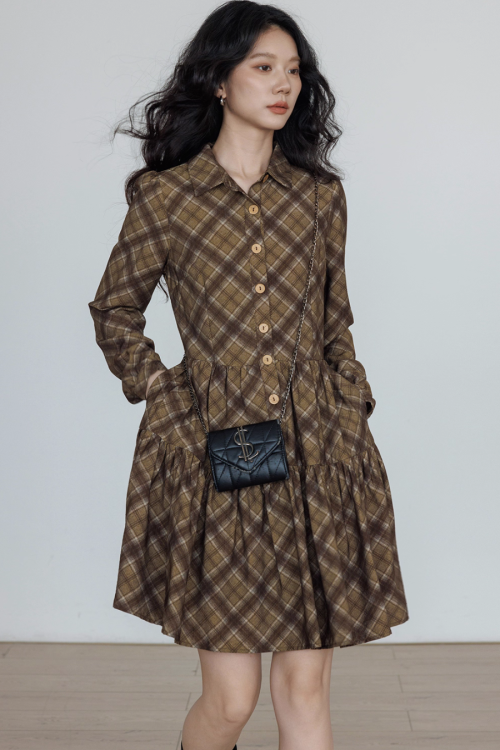 Retro Paid Flare Dress