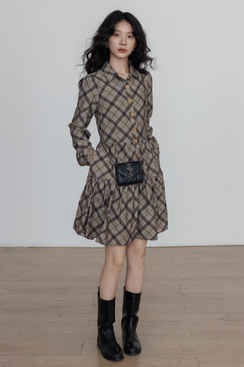 Retro Paid Flare Dress