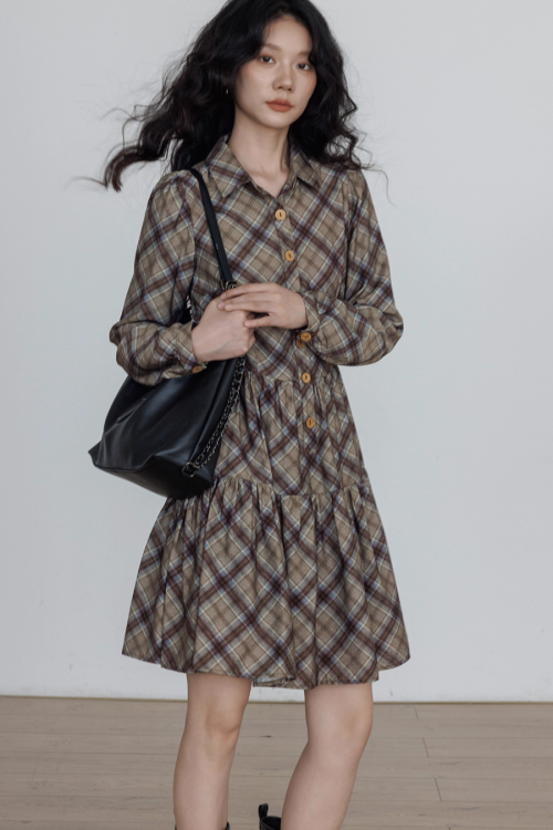 Retro Paid Flare Dress