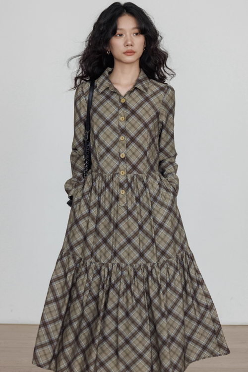 Retro Paid Flare Long Dress