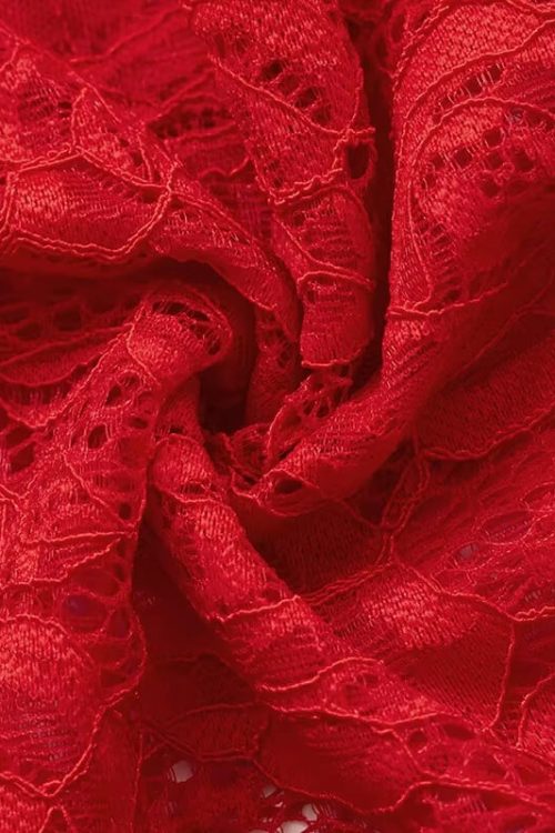 Sheer Lace Maxi Dress