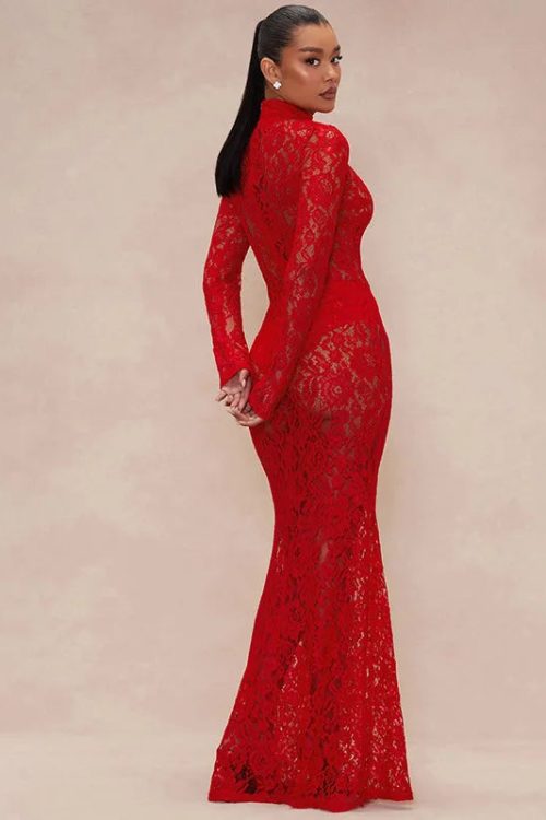 Sheer Lace Maxi Dress