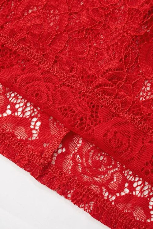 Sheer Lace Maxi Dress