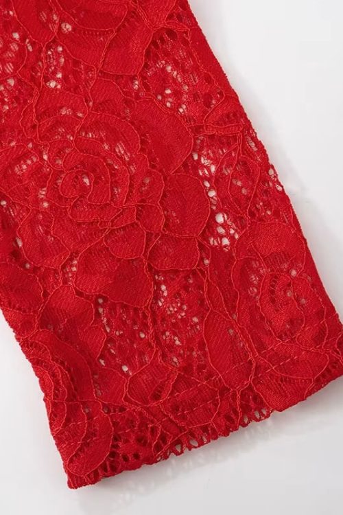 Sheer Lace Maxi Dress