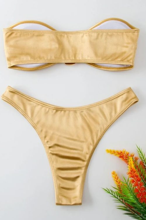Shiny Bikini Set