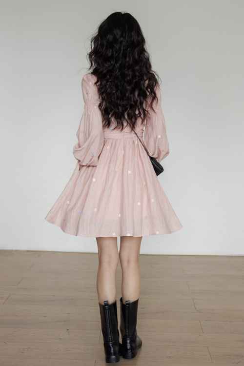 Small Floral Embroidery Dress
