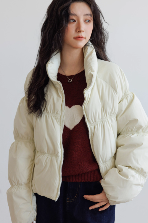 Stand Collar Down Jacket