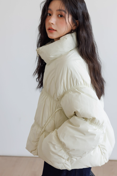 Stand Collar Down Jacket