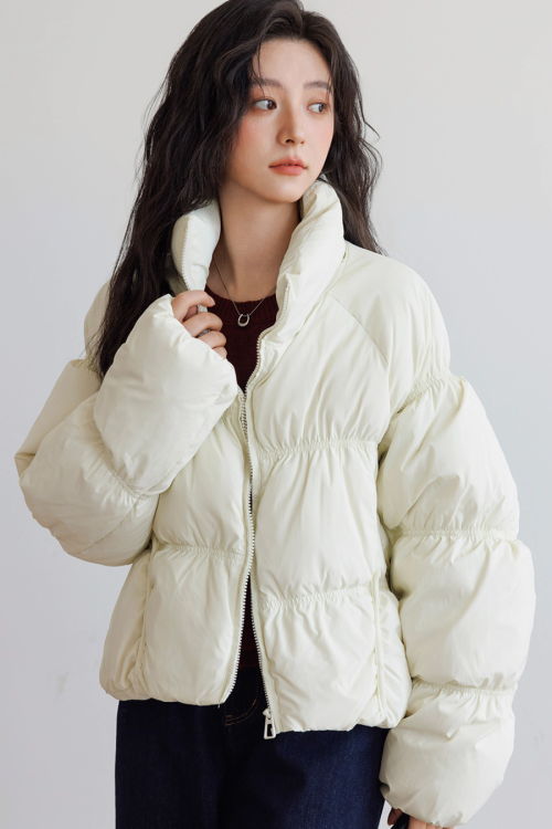 Stand Collar Down Jacket