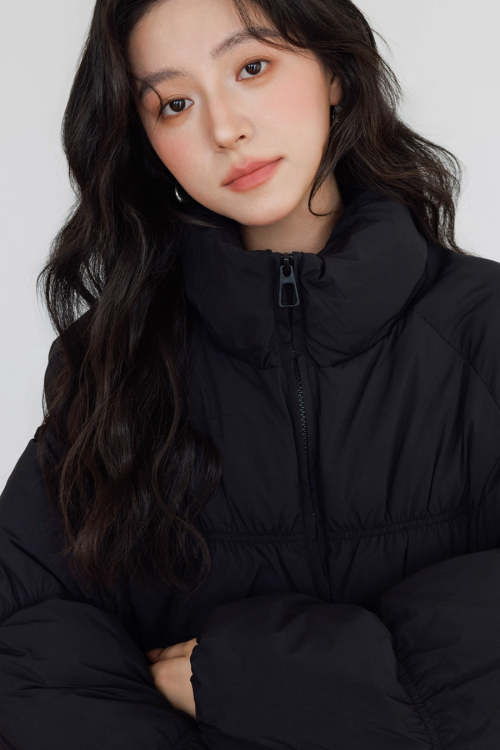 Stand Collar Down Jacket