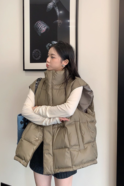Stand Collar Down Vest