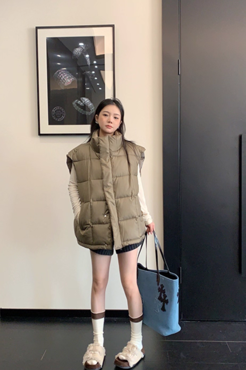 Stand Collar Down Vest