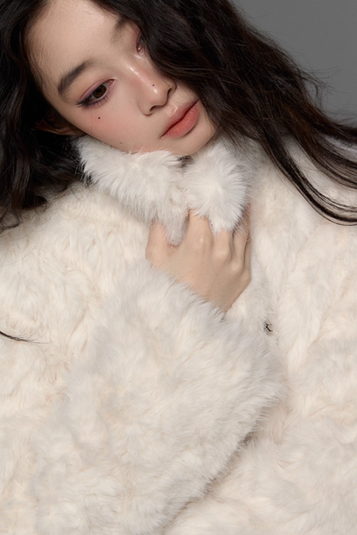 Stand Collar Fluffy Fur Jacket