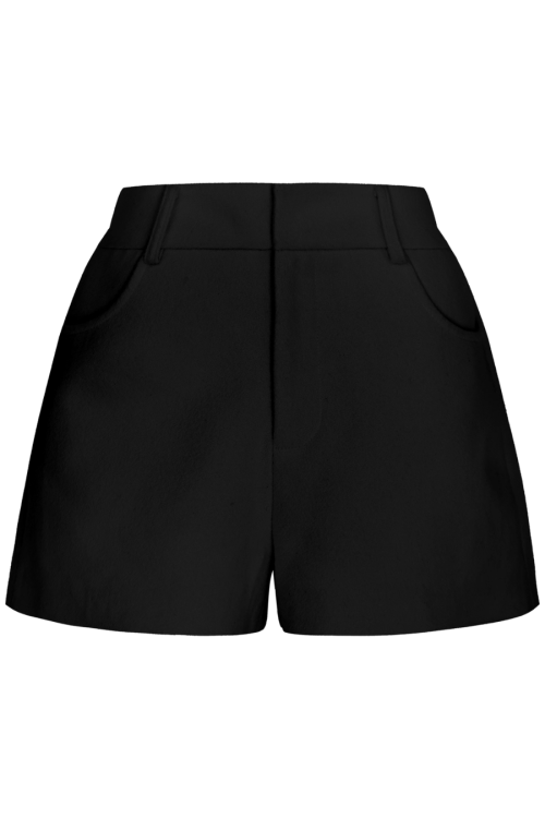 Stand Collar Gold Button Coat