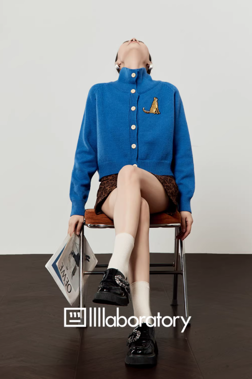 Stand Collar Knit Top / Leopard Print Mini Skirt