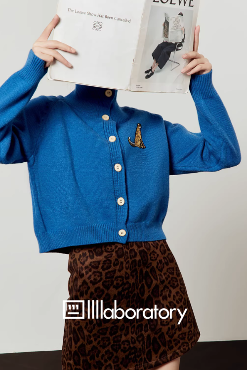 Stand Collar Knit Top / Leopard Print Mini Skirt