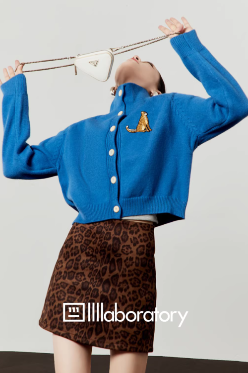 Stand Collar Knit Top / Leopard Print Mini Skirt