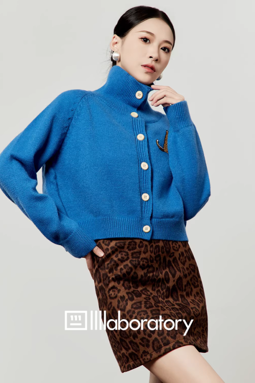 Stand Collar Knit Top / Leopard Print Mini Skirt